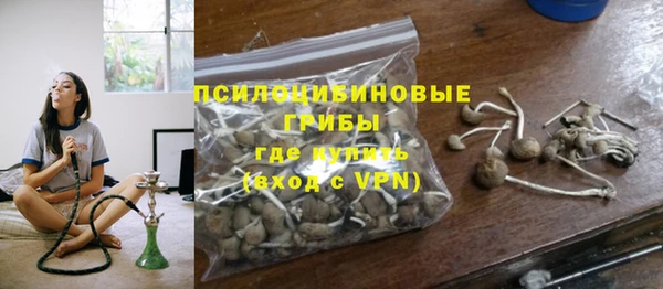 spice Лиски