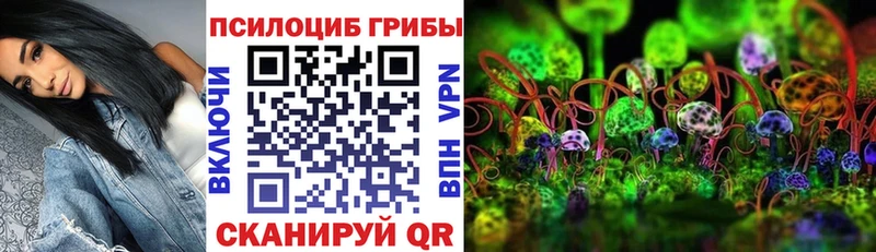 OMG как зайти Архангельск Псилоцибиновые грибы прущие грибы наркота